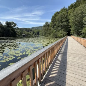 Holzbrücke durch die Landschaft
