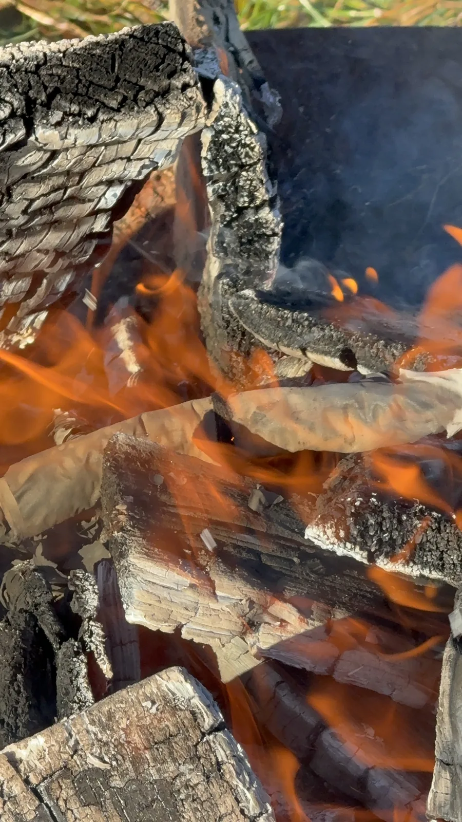 Brennendes Holz in der Feuerschale